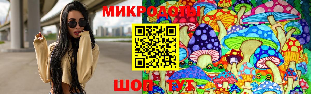 Нерюнгри  Галлюциногенные грибы MAGIC MUSHROOMS  Вход с VPN 